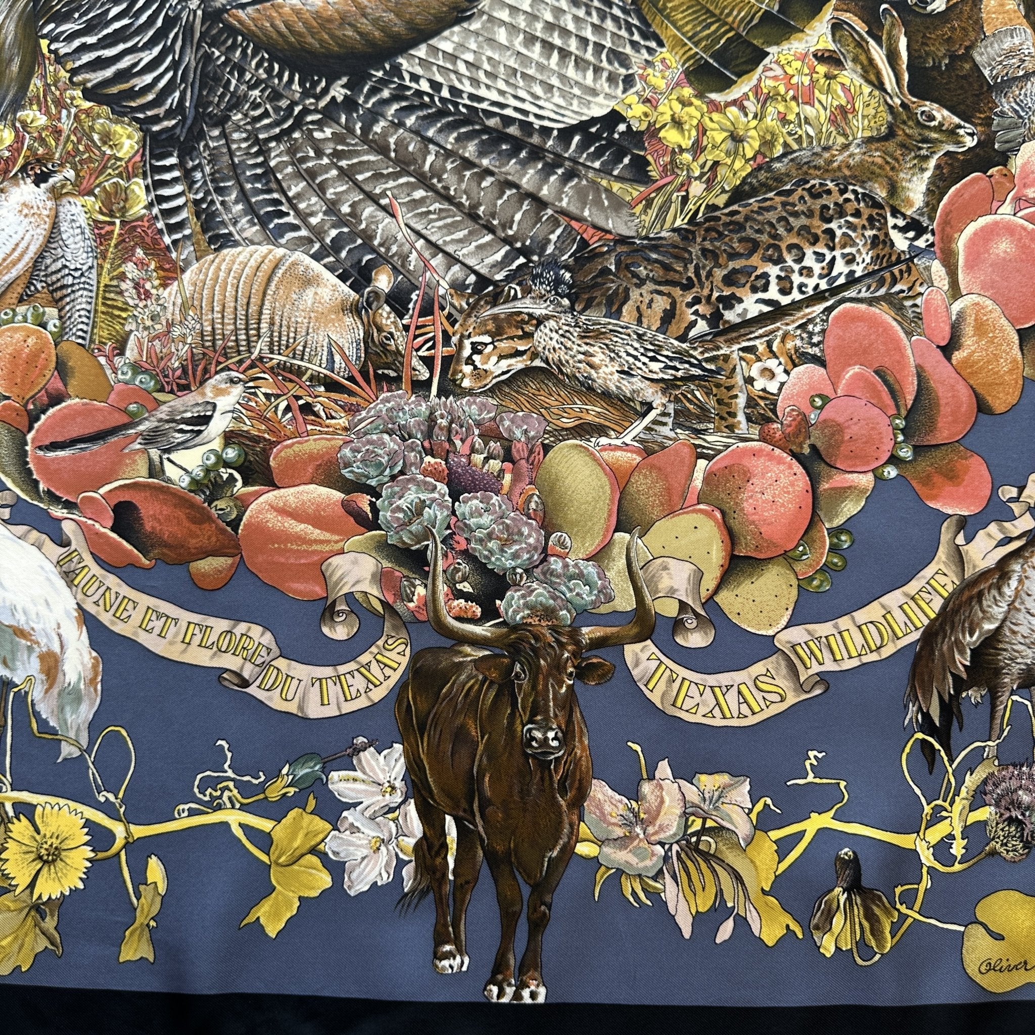 Faune et Flore du Texas - FOULARD HERMES 90 CM