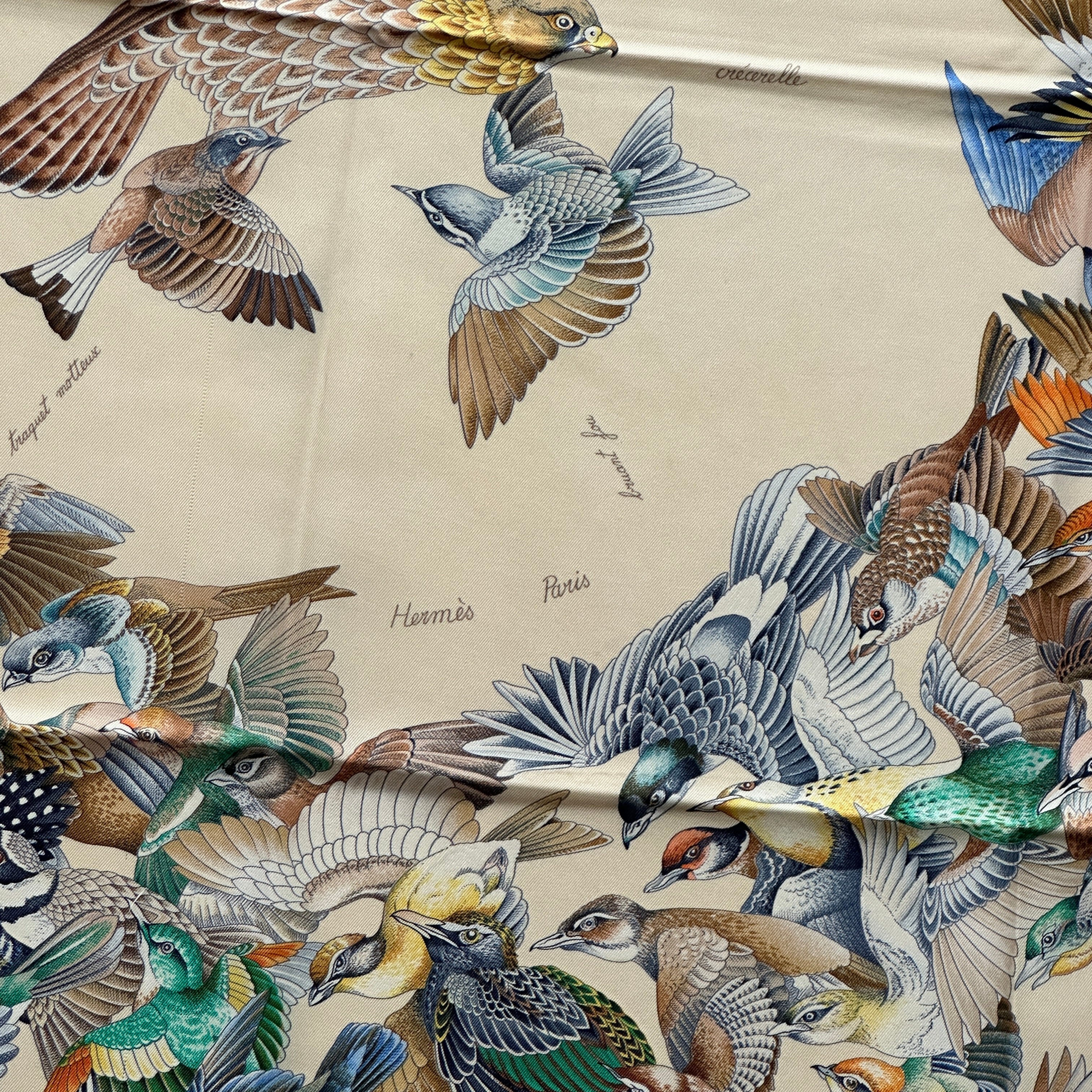 Gros plan sur le faucon (l'intrus) attaquant sa proie au centre du carré, entouré de mésanges et bruants effrayés. signature Hermès Paris