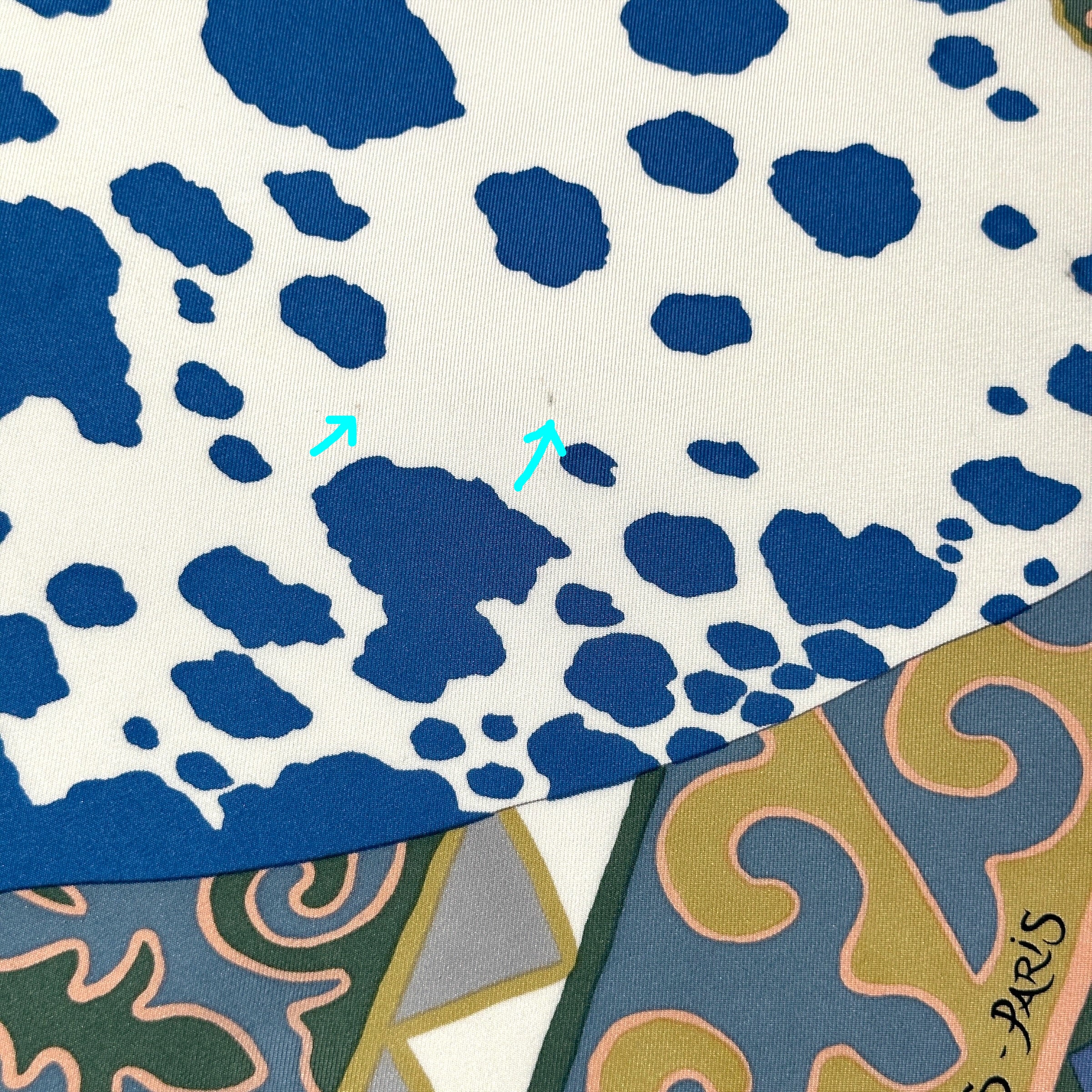 Carré Hermès – Appaloosa des Steppes – Alice Shirley (2017)