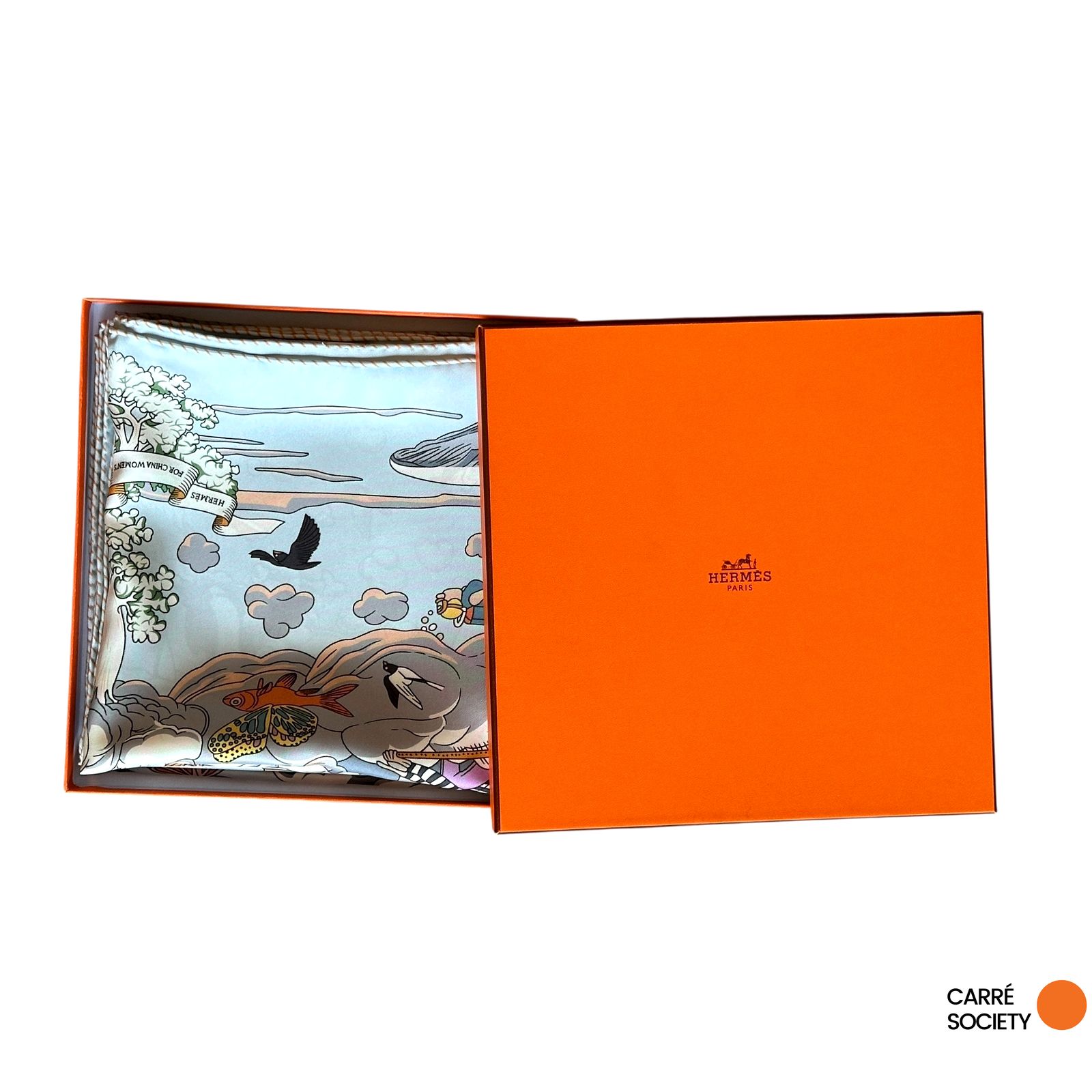 Hermès Scarf Special Edition - On My Cloud
